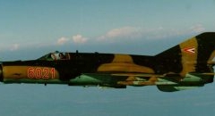 avipic11-e1519603211277