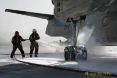 avipic13-e1519603151758