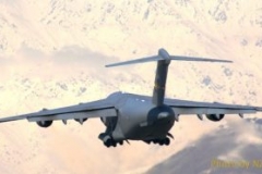 avipic14-e1519603122483