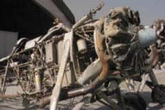 avipic7-e1519603245234