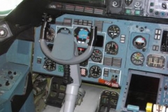 avipic8-e1519603233913